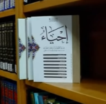 صورة الفيديو
